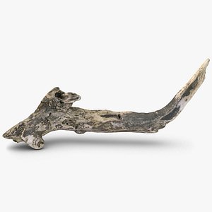 Wood Branch 1
