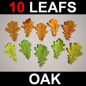 3d oak leafs