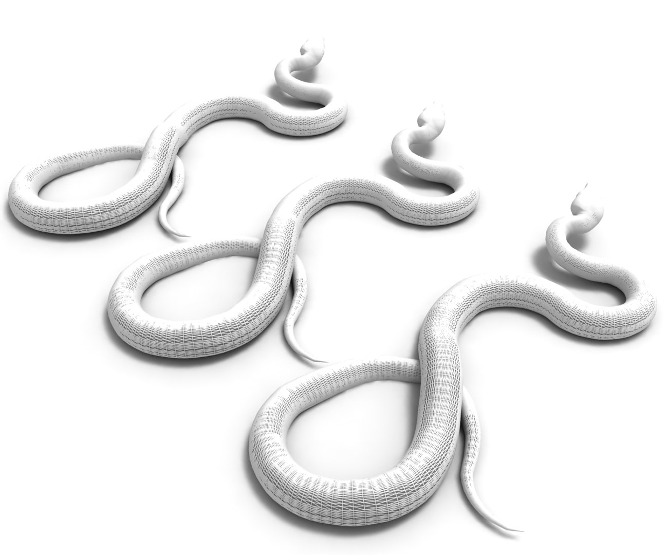 3D Model Python Snake Animal - TurboSquid 1494572