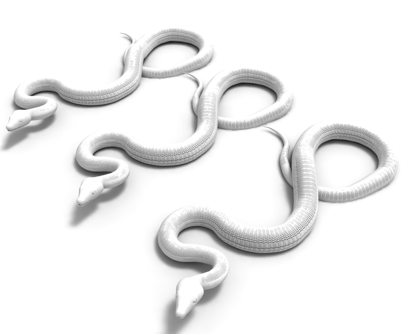 3D Model Python Snake Animal - TurboSquid 1494572
