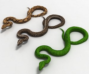 3D model python snake animal