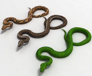 Snake (Realistic)