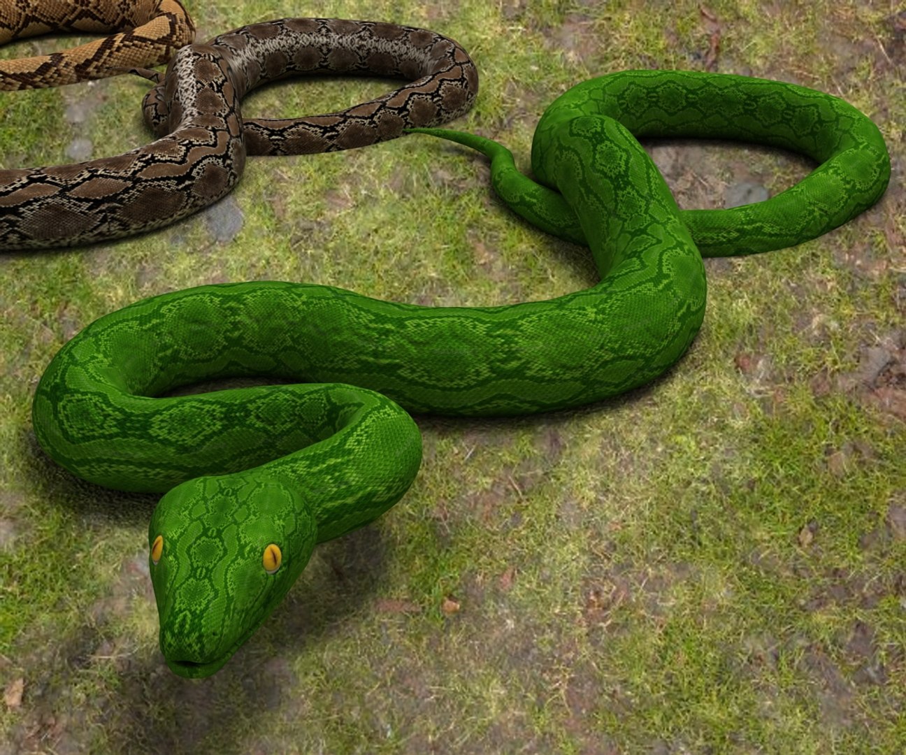 3D Model Python Snake Animal - TurboSquid 1494572
