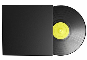 Vinyl Record PBR 7