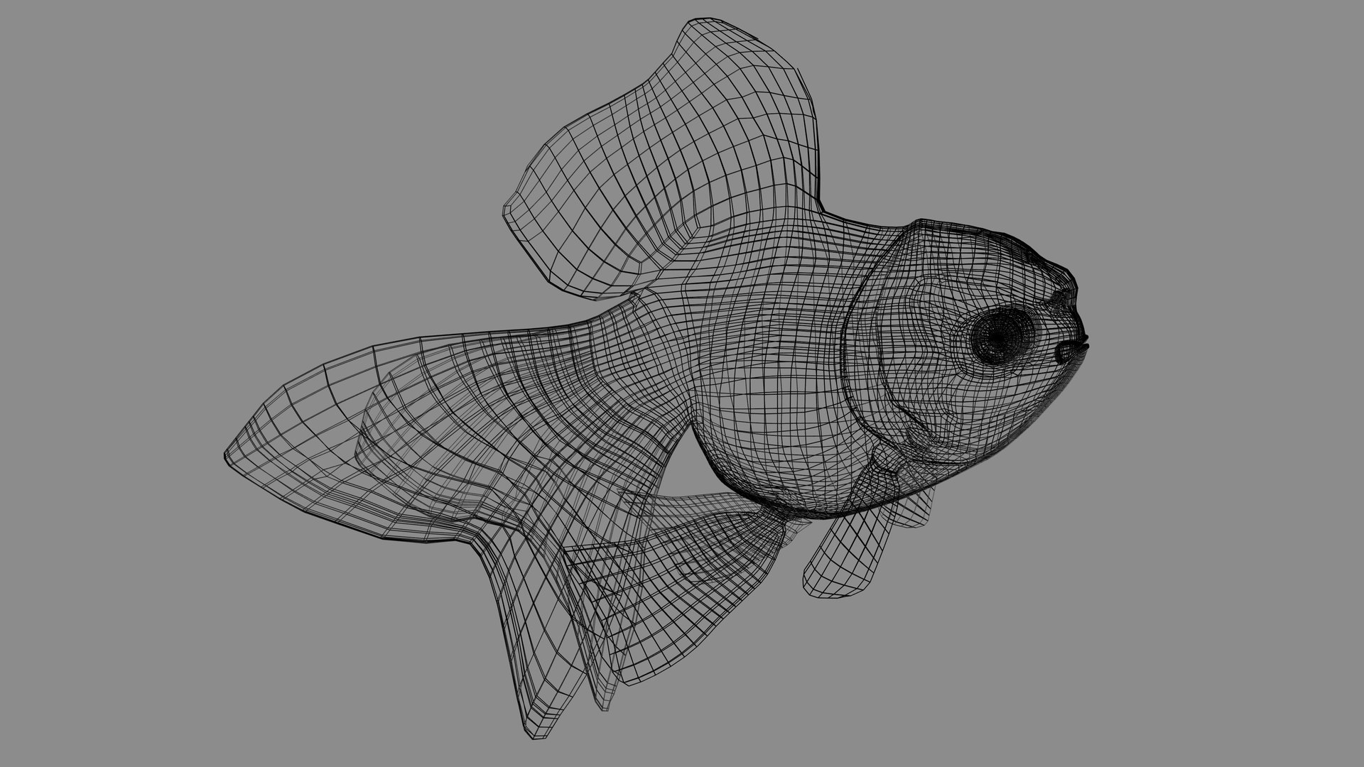 3D Goldfish-Animated - TurboSquid 2014728