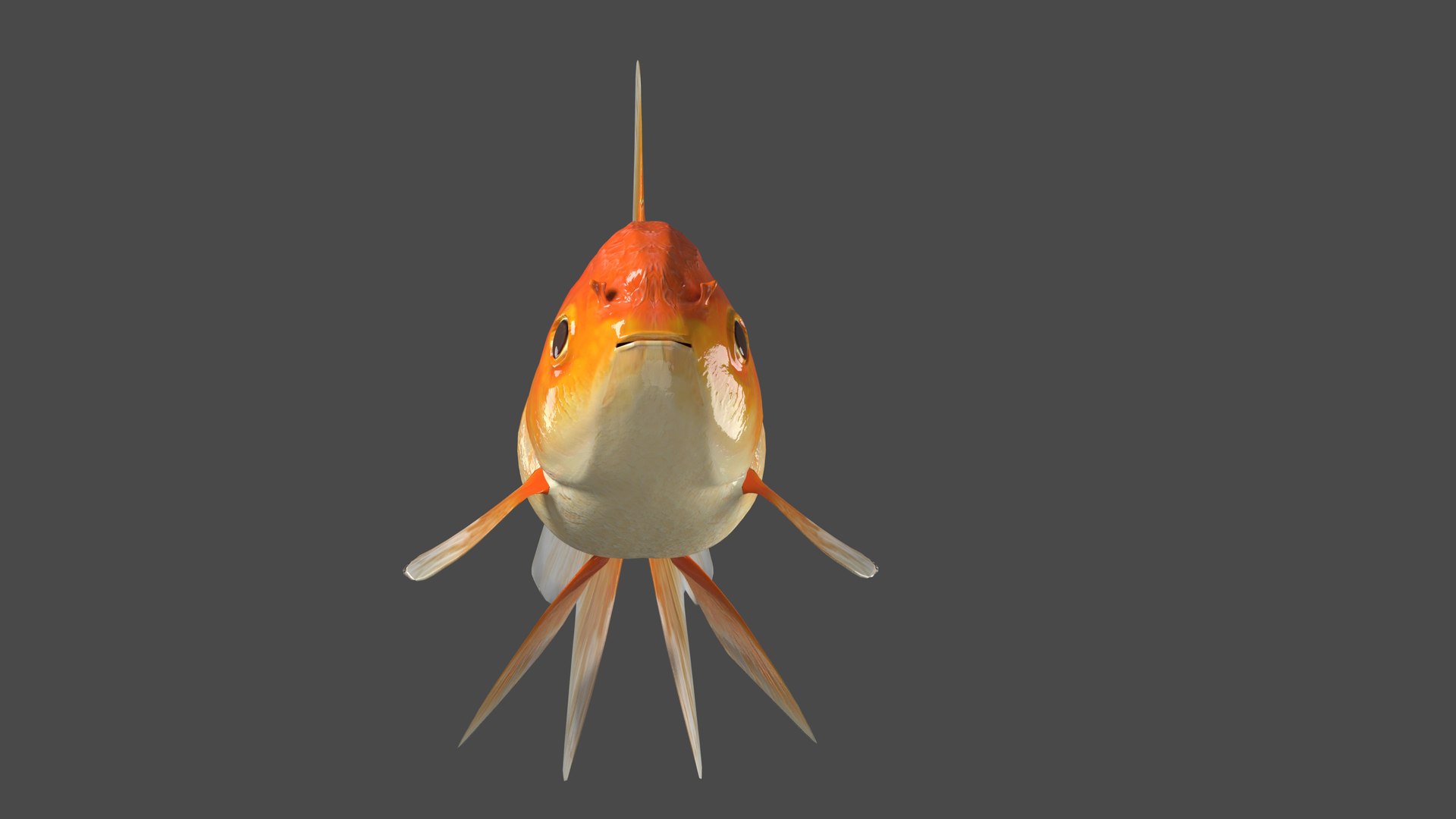 3D Goldfish-Animated - TurboSquid 2014728