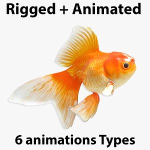 3D Goldfish-Animated