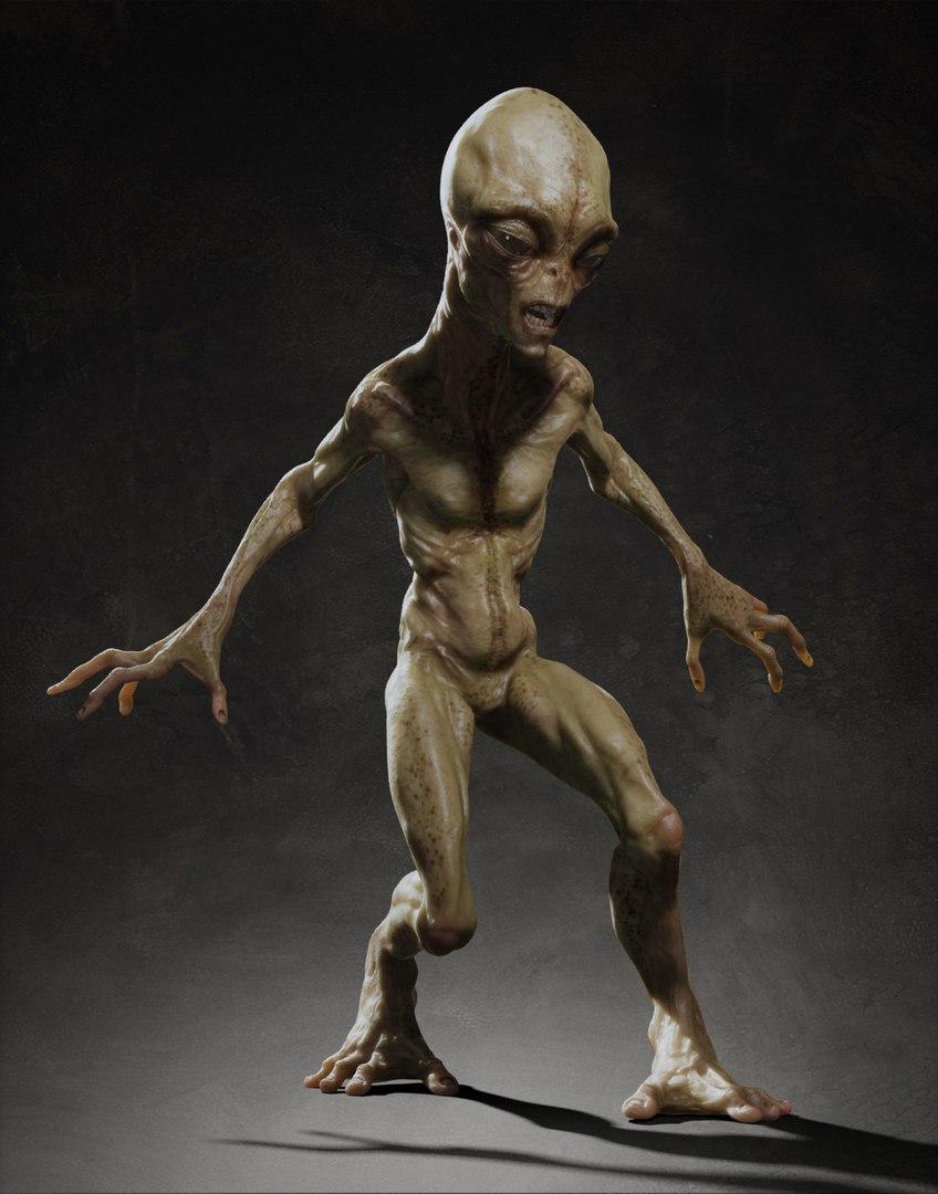 3d rigging skin model https://p.turbosquid.com/ts-thumb/ay/NY8Ynv/8Fic9KA3/666/jpg/1358005225/1920x1080/fit_q87/aadda8f397960f7a51259d4c7b86e8f96d393e24/666.jpg