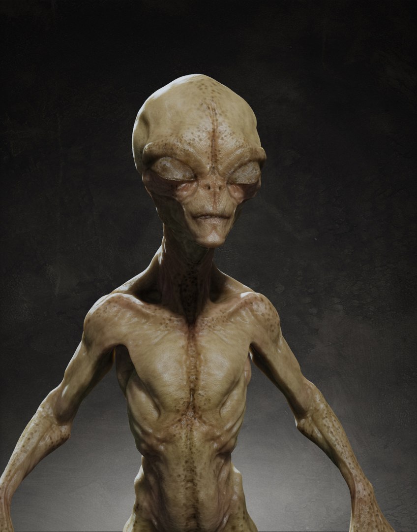 3d rigging skin model https://p.turbosquid.com/ts-thumb/ay/NY8Ynv/BNjhW94k/999/jpg/1358005225/1920x1080/fit_q87/a9ba273f2a028a19d8b84f5c9f41bdec6c2a9b80/999.jpg
