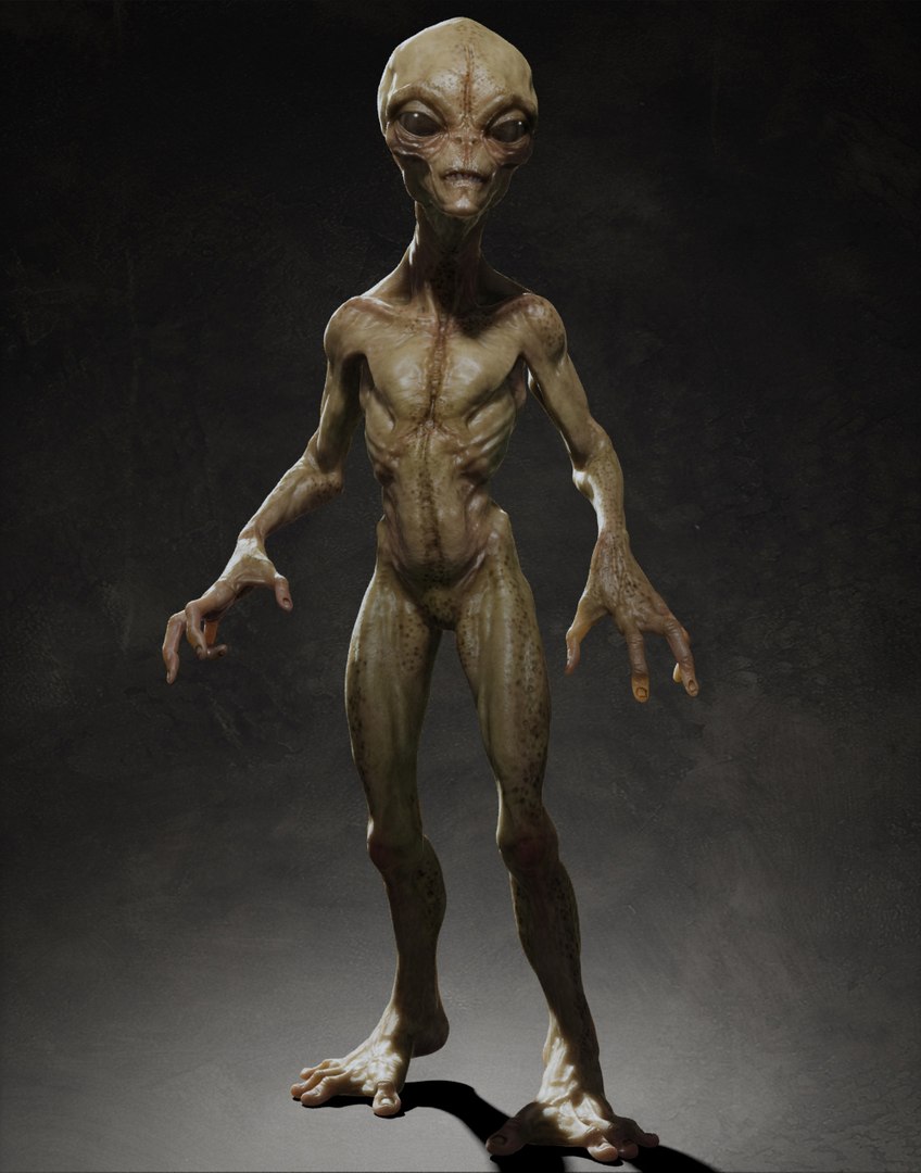 3d rigging skin model https://p.turbosquid.com/ts-thumb/ay/NY8Ynv/QRLGjSPZ/111/jpg/1358005224/1920x1080/fit_q87/99f5e4ea4faaf123426576928568b90d78b79e9b/111.jpg
