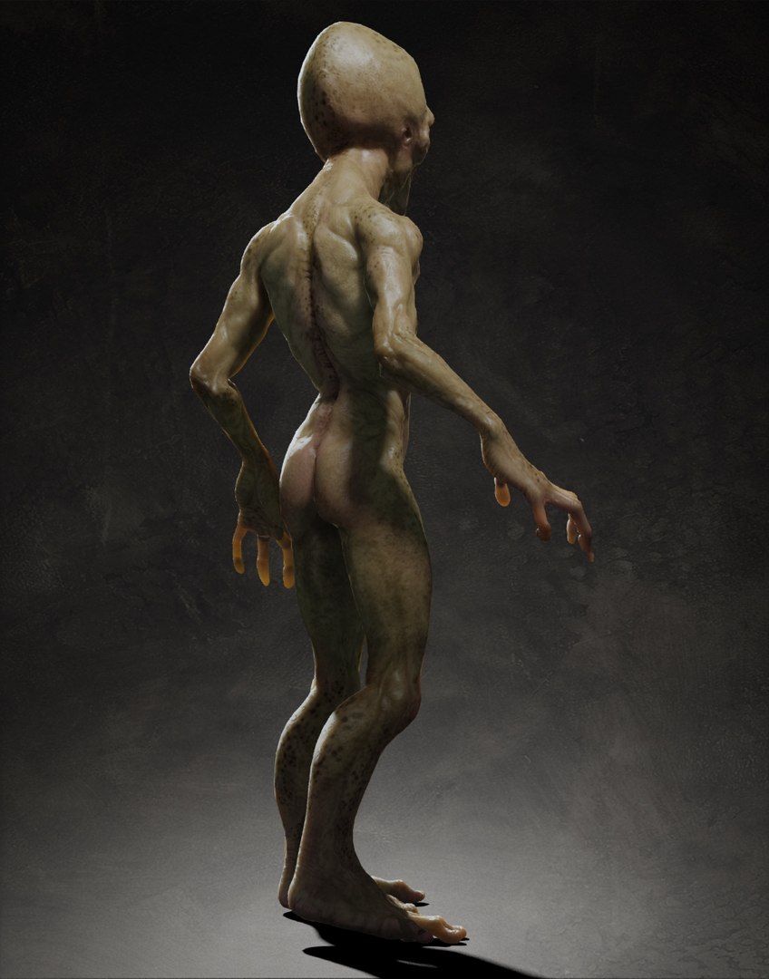 3d rigging skin model https://p.turbosquid.com/ts-thumb/ay/NY8Ynv/UNt1J3Gf/333/jpg/1358005224/1920x1080/fit_q87/53d439b1adb65d65ca9ed1036e60e719ba46bc7b/333.jpg