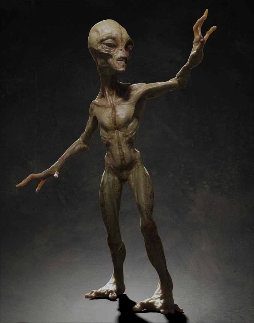 3d rigging skin model https://p.turbosquid.com/ts-thumb/ay/NY8Ynv/kgHWys5r/555/jpg/1358005225/1920x1080/fit_q87/4fa110ea8014418bf544658147cd5fb9121a5cd3/555.jpg