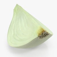 Onion Quater 3D Model