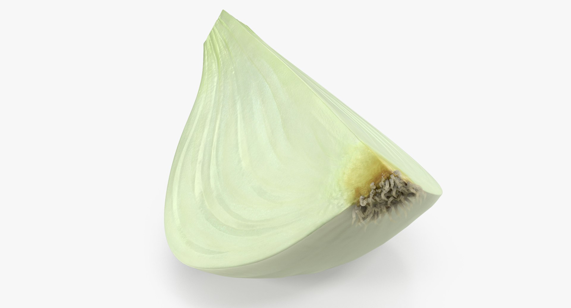 洋葱quater3d模型3d模型