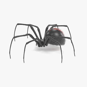 black widow fur 3D
