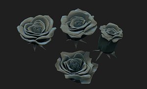 roses