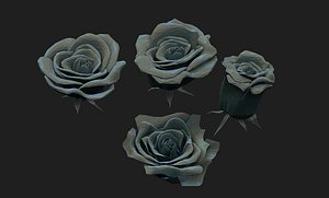 roses