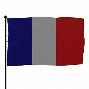 3d french flag