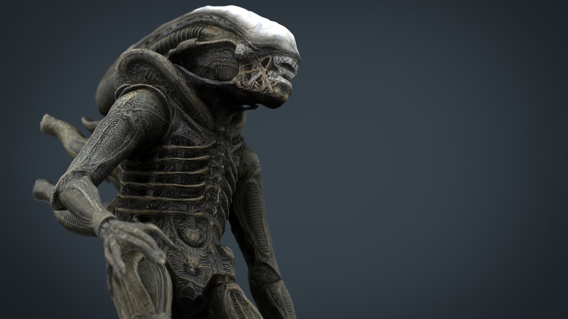 3D model alien xenomorph https://p.turbosquid.com/ts-thumb/ay/Z49OJX/1LKzgufT/alienxenomorph.297/jpg/1492970550/1920x1080/fit_q87/a142db0ebf6c3664abb8f5182571bdddad805ec9/alienxenomorph.297.jpg
