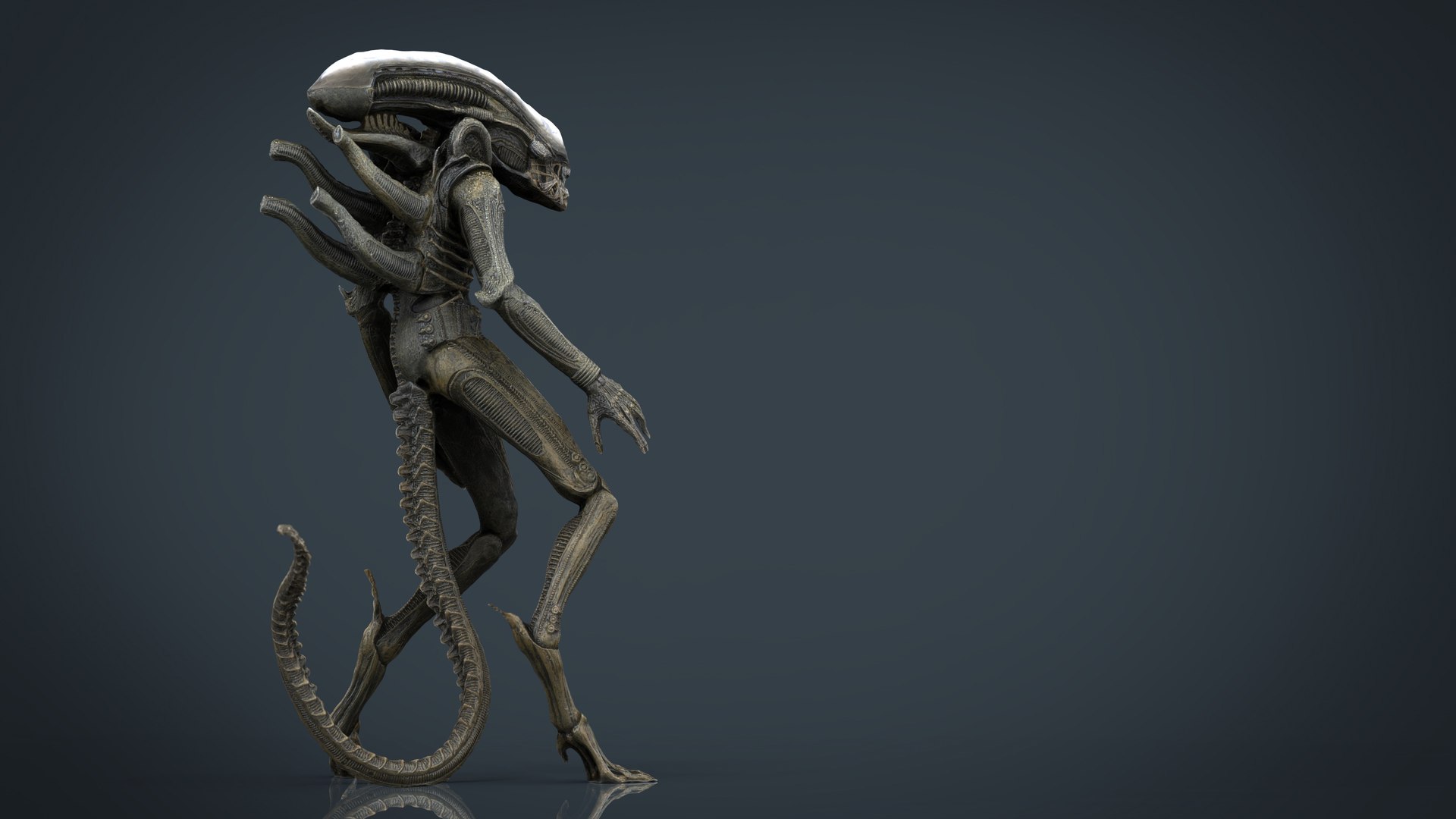 3D model alien xenomorph https://p.turbosquid.com/ts-thumb/ay/Z49OJX/AWET3rCv/alienxenomorph.295/jpg/1492970550/1920x1080/fit_q87/486c78bc6cbc12ebb90180047c0df6e429ec5812/alienxenomorph.295.jpg
