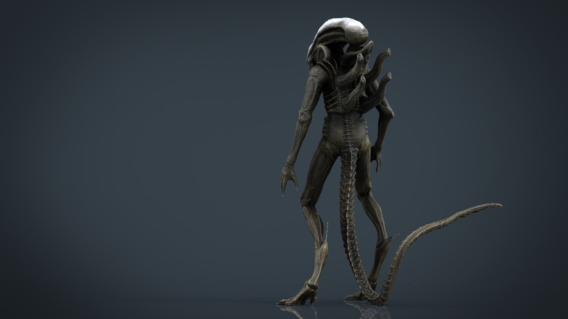 3D model alien xenomorph https://p.turbosquid.com/ts-thumb/ay/Z49OJX/aOYHTrQ0/alienxenomorph.296/jpg/1492970550/1920x1080/fit_q87/ccbf19dd645eb11cc1f65cb1fafd3eeee6a23279/alienxenomorph.296.jpg