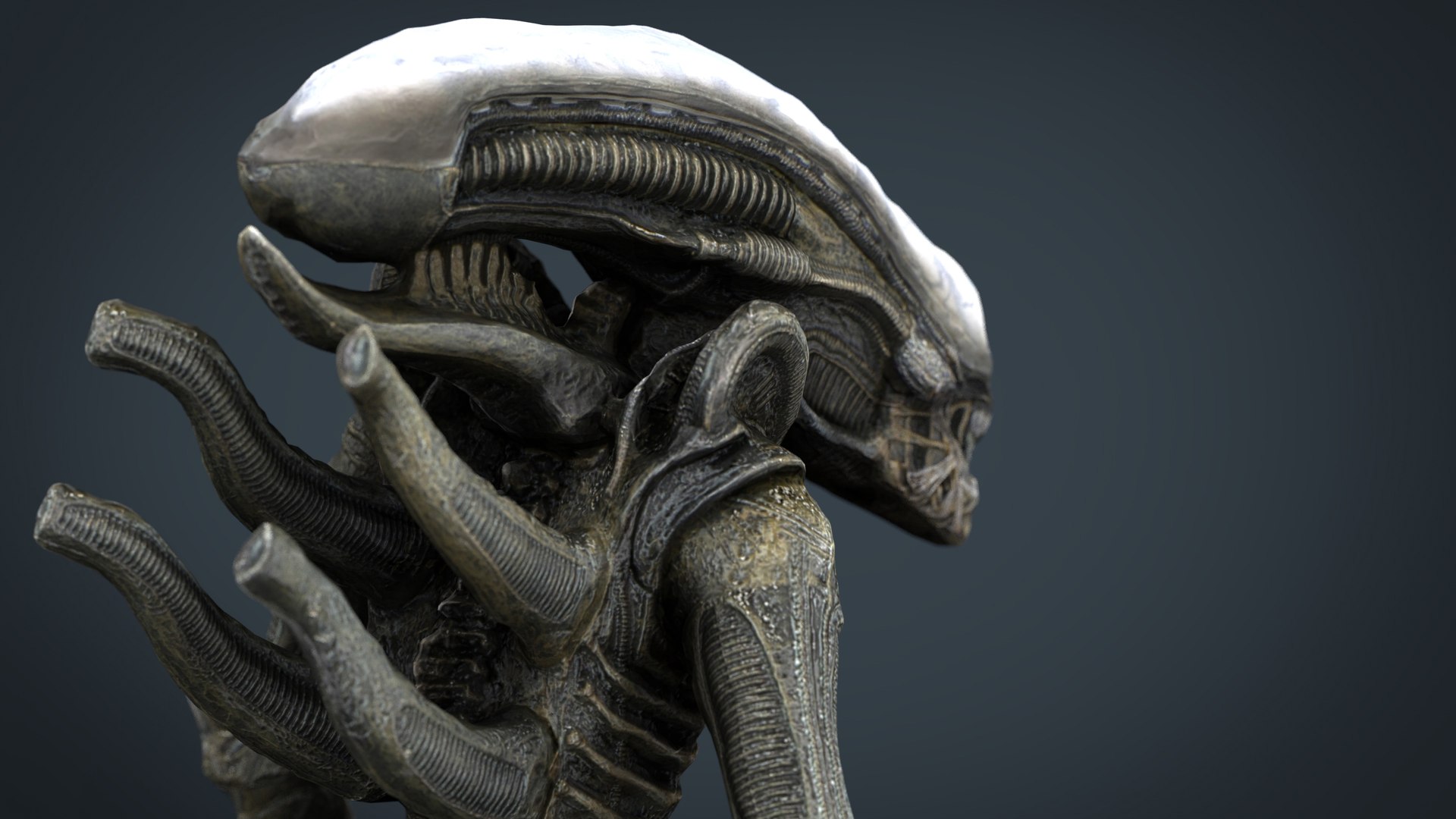 3D model alien xenomorph https://p.turbosquid.com/ts-thumb/ay/Z49OJX/dHSYCBNH/alienxenomorph.299/jpg/1492970550/1920x1080/fit_q87/81a1a44e4b9c25bd0c7e4258f44563671887679e/alienxenomorph.299.jpg