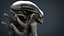 Alien Xenomorfo