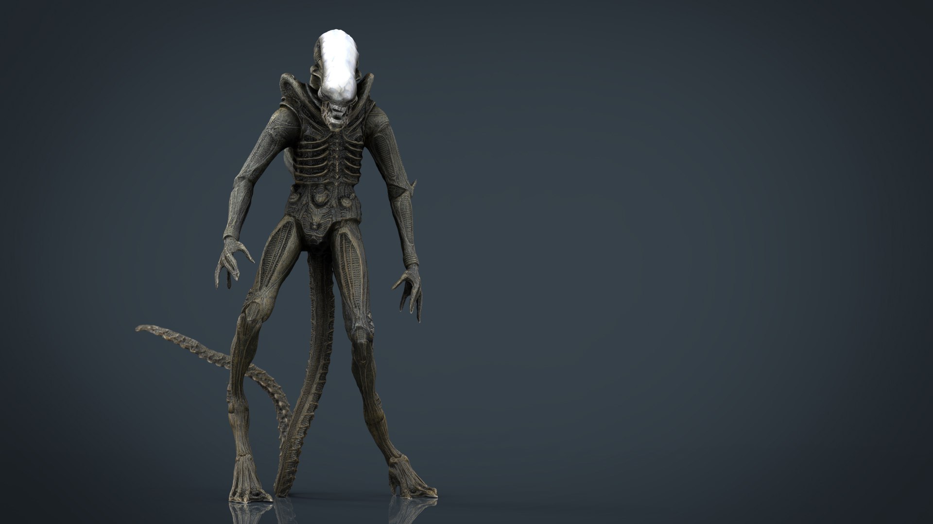 3D model alien xenomorph https://p.turbosquid.com/ts-thumb/ay/Z49OJX/xTDUDxxv/alienxenomorph.294/jpg/1492970550/1920x1080/fit_q87/3cf6c0c652346cc0dd23746940cbc28c69fd3044/alienxenomorph.294.jpg