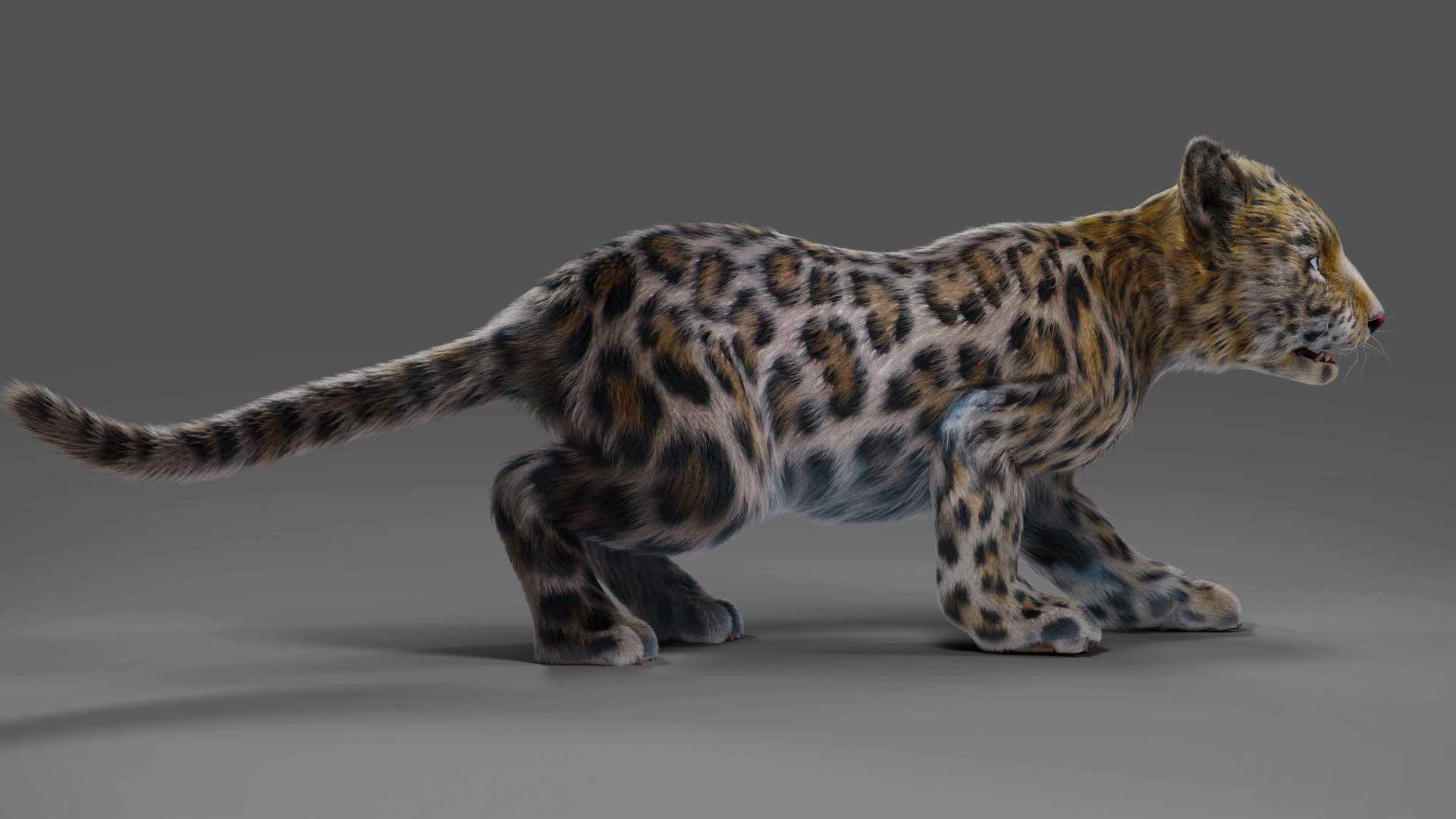 Fur Baby Jaguar Rigged in Blender 3D model https://p.turbosquid.com/ts-thumb/ay/lEXtU1/9T/05/jpg/1675957441/1920x1080/fit_q87/770aec9d3f3210ac153748b5fd0cd4e0363fb1bd/05.jpg