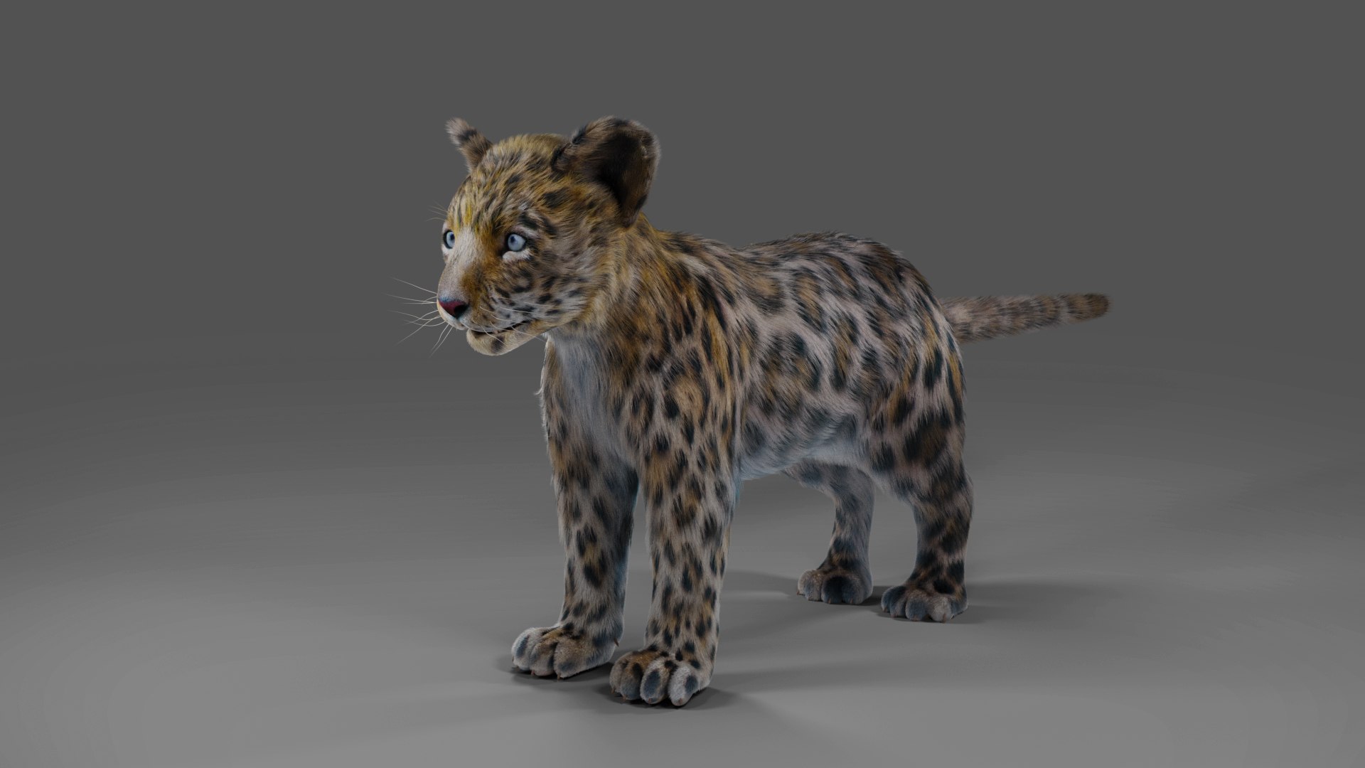 Fur Baby Jaguar Rigged in Blender 3D model https://p.turbosquid.com/ts-thumb/ay/lEXtU1/Hz/08/jpg/1675957444/1920x1080/fit_q87/bd216967118f750e25fc62ac1d9465223233a7d7/08.jpg