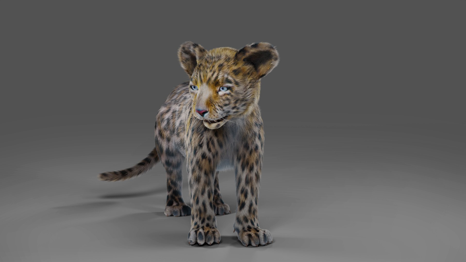 Fur Baby Jaguar Rigged in Blender 3D model https://p.turbosquid.com/ts-thumb/ay/lEXtU1/N7/06/jpg/1675957442/1920x1080/fit_q87/78186cccea40bd65515b28f4a7326556092c6e4e/06.jpg
