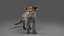 Fur Baby Jaguar Rigged in Blender