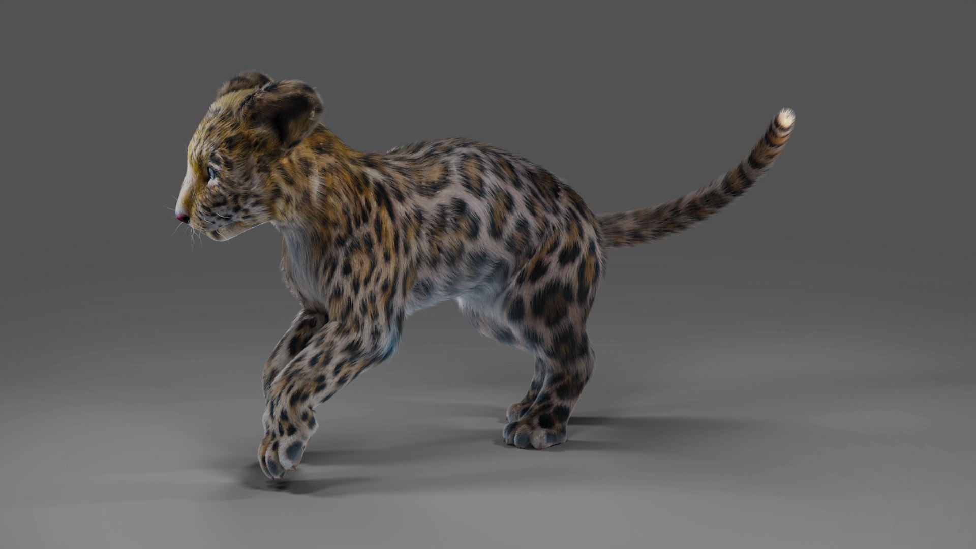 Fur Baby Jaguar Rigged in Blender 3D model https://p.turbosquid.com/ts-thumb/ay/lEXtU1/oJ/03/jpg/1675957438/1920x1080/fit_q87/6c22bf9e5a2b90361e1d0380e095dcfd0c8bf04d/03.jpg
