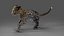 Fur Baby Jaguar Rigged in Blender