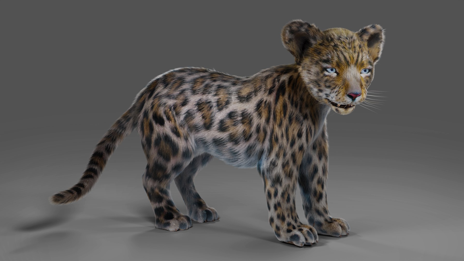 Fur Baby Jaguar Rigged in Blender 3D model https://p.turbosquid.com/ts-thumb/ay/lEXtU1/u0/04/jpg/1675957440/1920x1080/fit_q87/72aace03491af72220142db2c40c28808d48e6fd/04.jpg