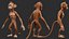 Monkey - Stylize  Cartoon