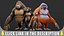 Monkey - Stylize  Cartoon