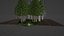 Modelo 3D de escena forestal volumétrica estilizada
