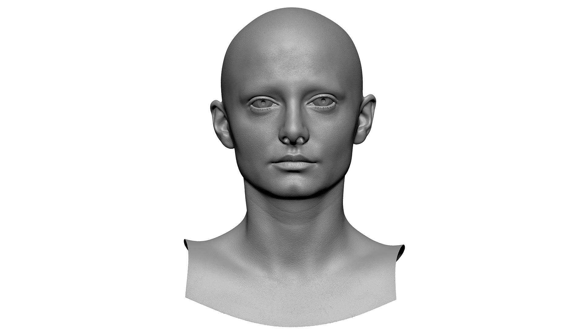 3D Retopologized Head Scan Lucy Evans https://p.turbosquid.com/ts-thumb/az/04KSWV/2y/02/jpg/1634171175/1920x1080/fit_q87/d44cc92b7451d1b7173fc853b8358d1a64edb1b0/02.jpg