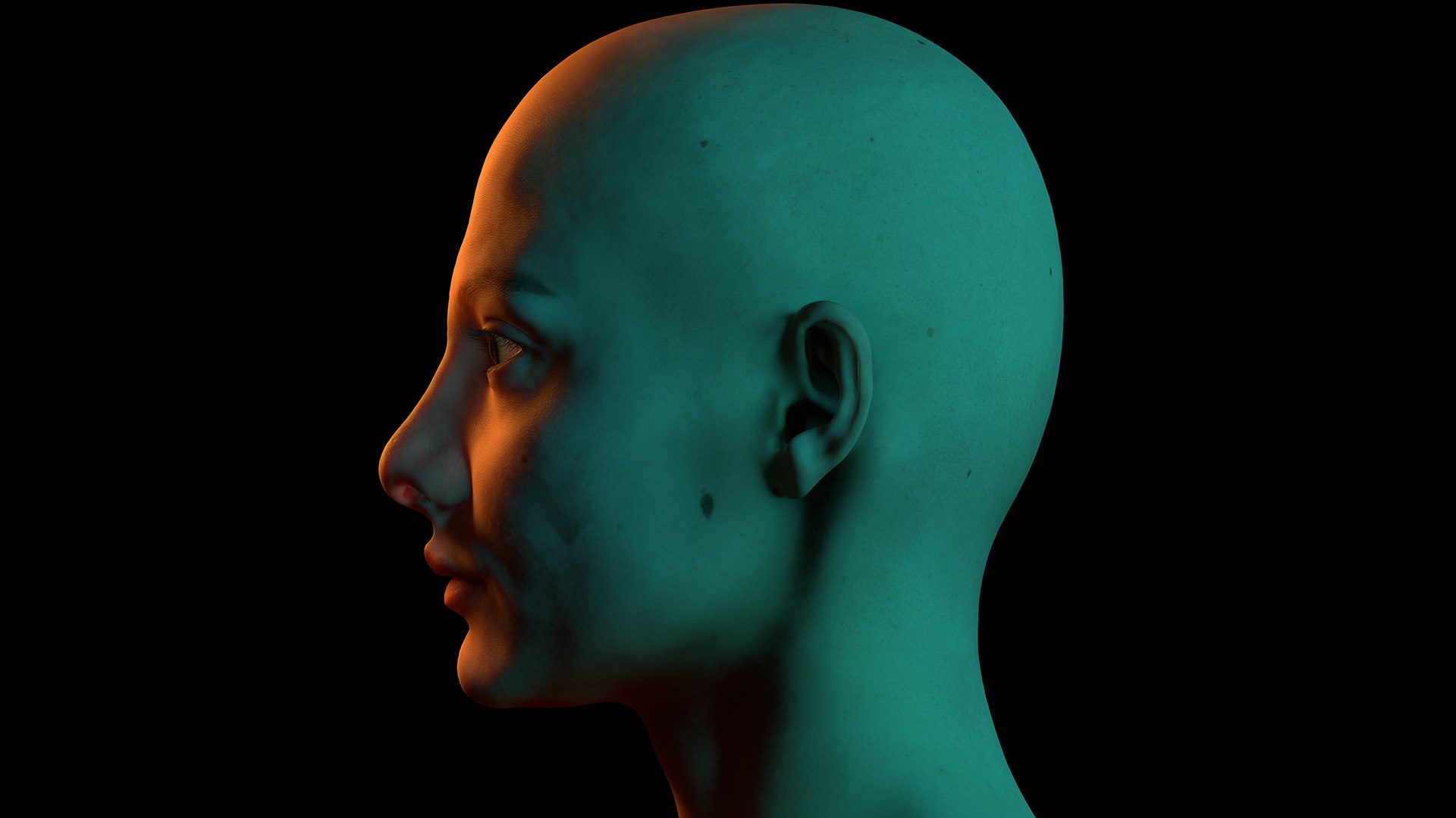3D Retopologized Head Scan Lucy Evans https://p.turbosquid.com/ts-thumb/az/04KSWV/SP/11/jpg/1634171179/1920x1080/fit_q87/cf461a13f15bff9b74a71da7530f5e5085815996/11.jpg