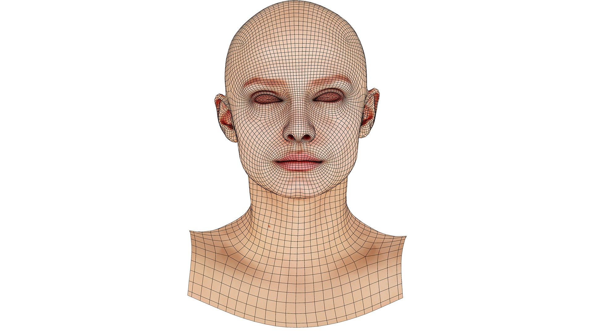 3D Retopologized Head Scan Lucy Evans https://p.turbosquid.com/ts-thumb/az/04KSWV/fI/14/jpg/1634171180/1920x1080/fit_q87/61de415056e9c50c6c3b1994a118c7356c01241c/14.jpg