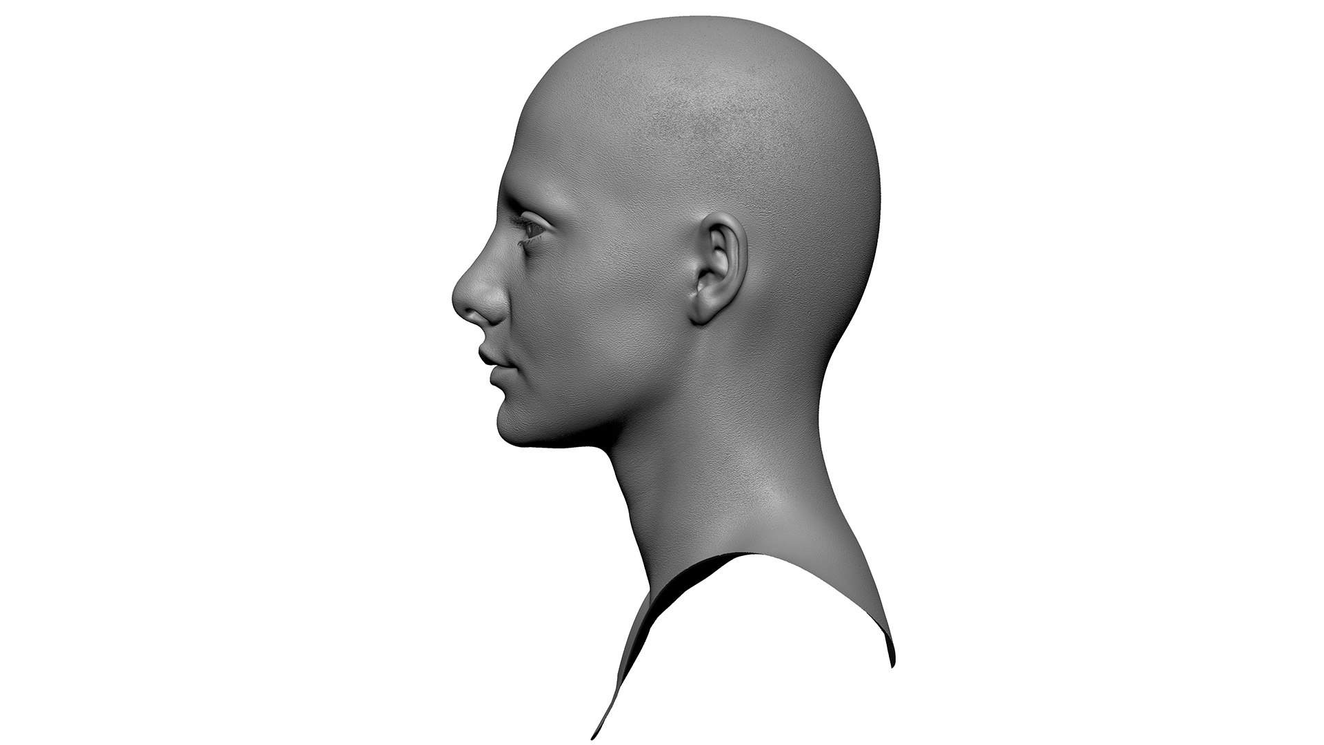 3D Retopologized Head Scan Lucy Evans https://p.turbosquid.com/ts-thumb/az/04KSWV/zD/04/jpg/1634171175/1920x1080/fit_q87/0b9e0fec924ae4744ed9641716b3bcdfa9f14f36/04.jpg