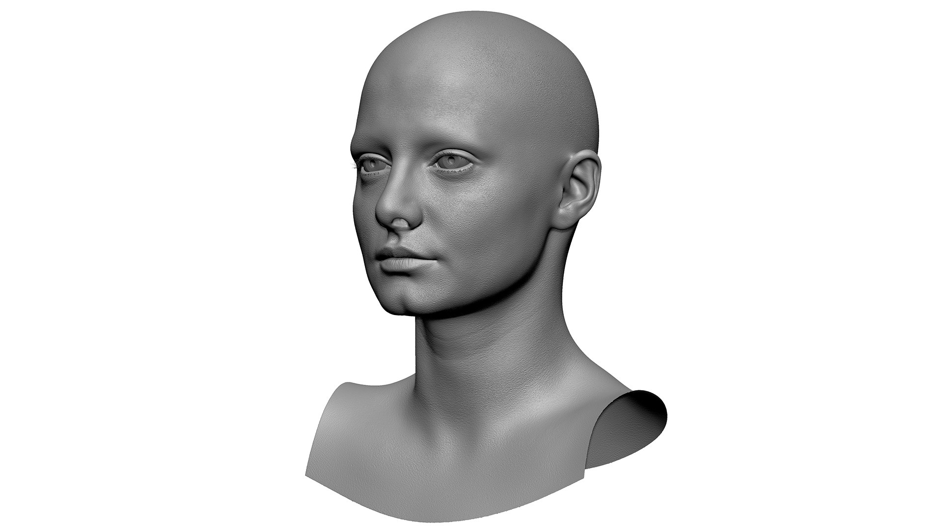 3D Retopologized Head Scan Lucy Evans https://p.turbosquid.com/ts-thumb/az/04KSWV/zj/03/jpg/1634171173/1920x1080/fit_q87/a2daab1cc39c362bd19728c2f6b392139bee569e/03.jpg
