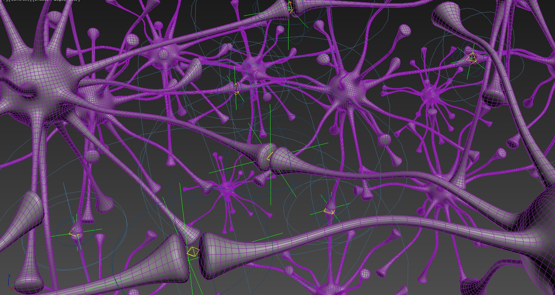 neuron-nerve-cell-3ds