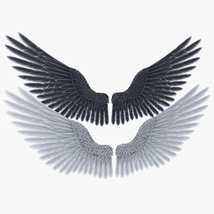 Angel Wings Pro Rigged