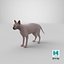 dark cream sphynx cat 3D model