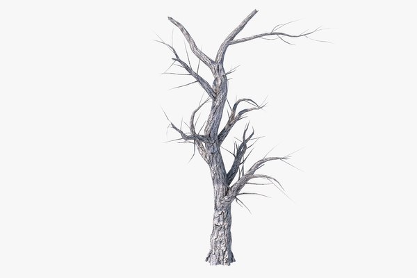 Pack dead tree 3D model - TurboSquid 1280748