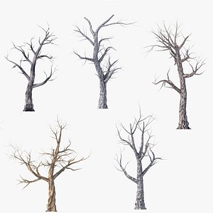 pack dead tree 3D model