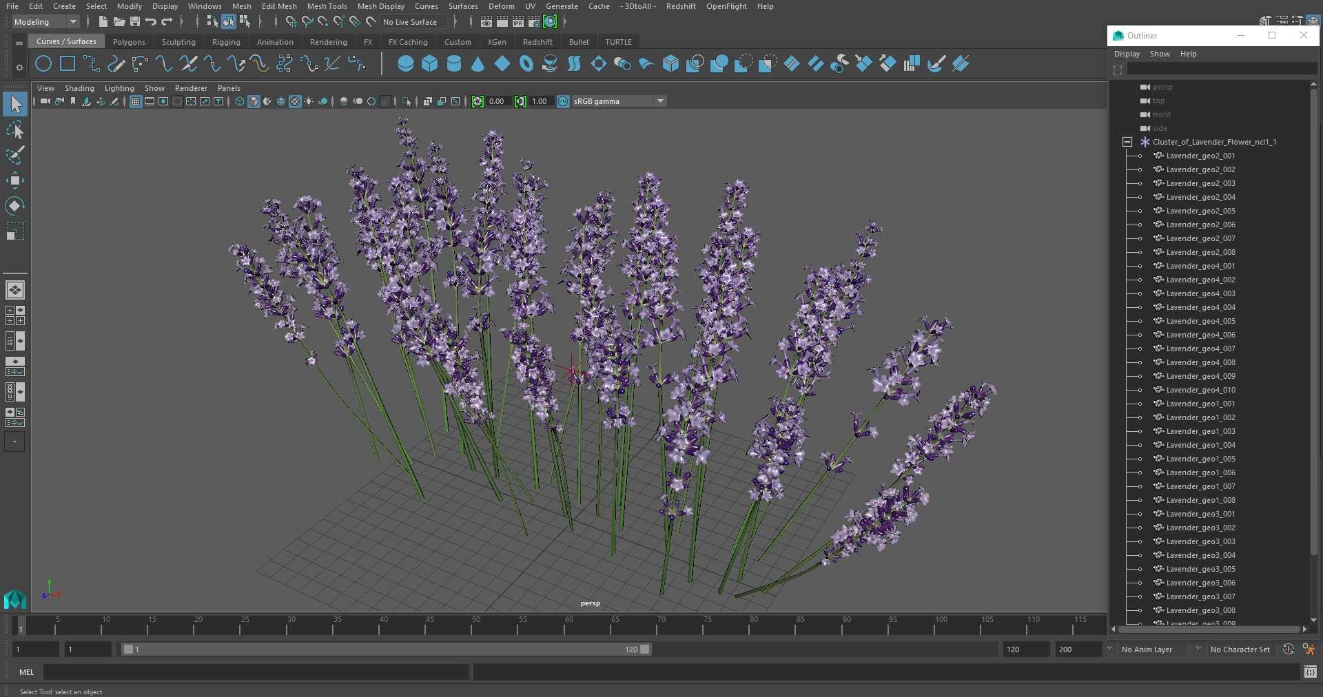 Cluster of Lavender Flower 3D model https://p.turbosquid.com/ts-thumb/az/RHqrEO/91/clusteroflavenderflowerc4dmodel026/jpg/1708242971/1920x1080/fit_q87/d68ed4bcbbc47525bba05d844c37db72df1da638/clusteroflavenderflowerc4dmodel026.jpg