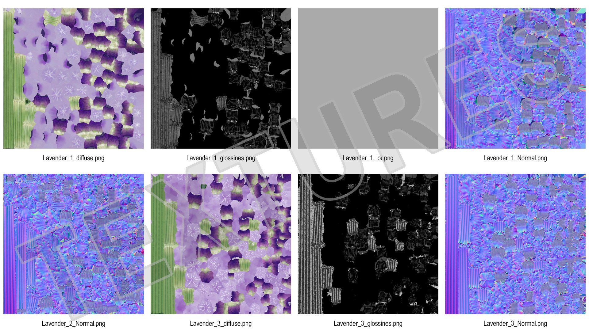 Cluster of Lavender Flower 3D model https://p.turbosquid.com/ts-thumb/az/RHqrEO/In/clusteroflavenderflowerc4dmodel021/jpg/1708242952/1920x1080/fit_q87/ca2b1e05e665e619857dc6aa069d71116d723d60/clusteroflavenderflowerc4dmodel021.jpg